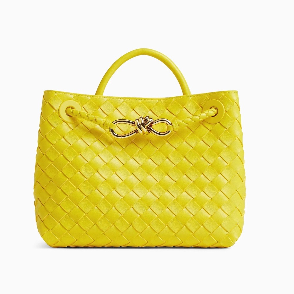 New Bottega Veneta Andiamo Small Leather Tote